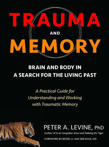 the irest program for healing ptsd the irest program for healing ptsd